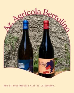 Salutiamo agosto portandovi in Sicilia, nello specifico a Marsala, da @aziendagricolabertolino 🌿🍷
#discoverwines #winesdistributors #winedistribution #naturalwines #winelover