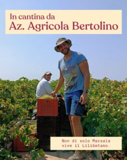 Oggi vi portiamo tra i filari con @aziendagricolabertolino 🍇🌿

#discoverwines #winedistributors #winedistribution #ziveli
